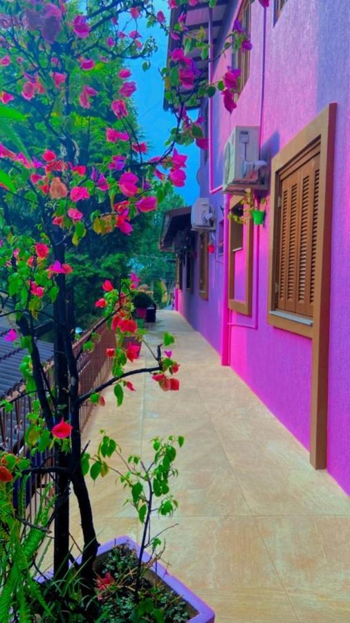 Cantinho Da Serra Bed and Breakfast Γκραμάντο Εξωτερικό φωτογραφία